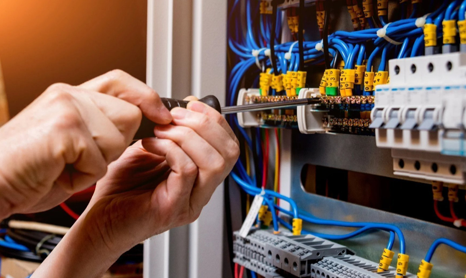 service-details